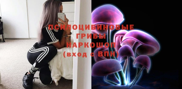 соль ск Кинешма