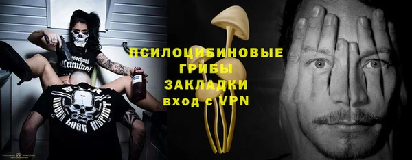 прущая мука Богородск