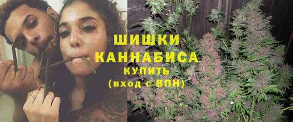 мдпв Богданович